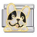 Hund 3