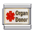Organdonator