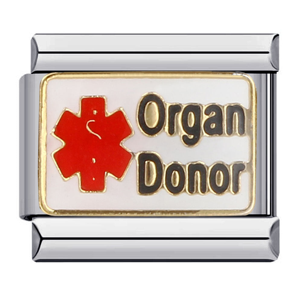 Organdonator