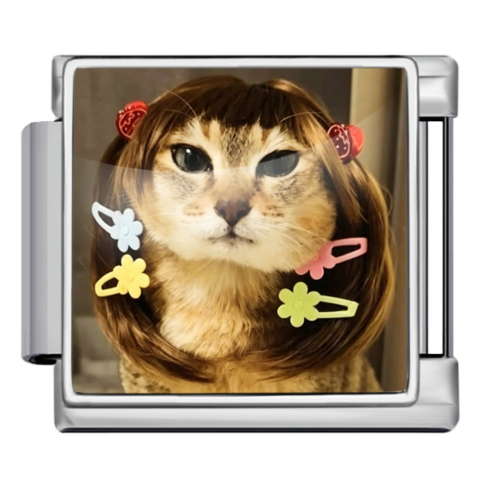 Katt med hårspännen