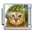 Katt i hatt